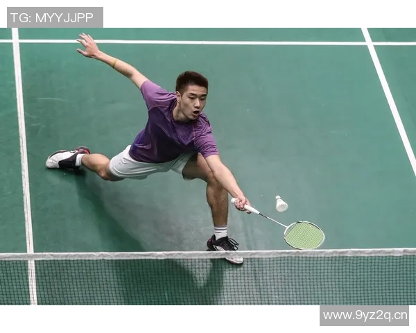 深圳羽毛球队实力对比深度解析与未来发展展望 深圳羽毛球队实力对比深度解析与未来发展展望